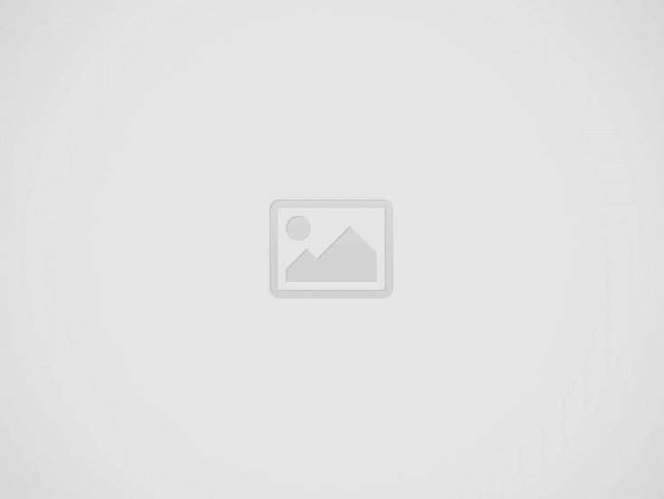 Nos valeurs d'entreprise
